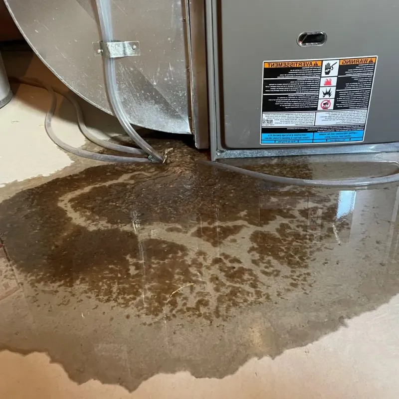Pipe Burst and Leak Restoration in Blackhawk, SD